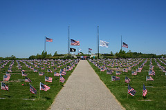 veterans day photo